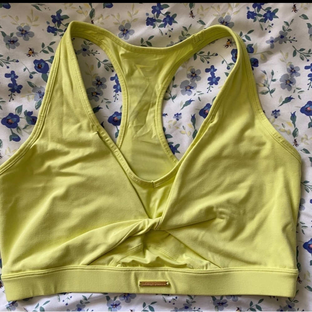 Whitney Simmons bra